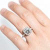 The Diamond Oak