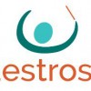 MaestroSoft