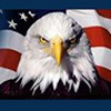 American Website Company
