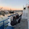 Cal Boat Diving