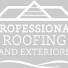 Professional Roofing