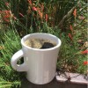 Ohori's Coffee