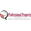 Professional Property Inspection