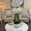 Zand Dermatology