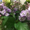 Coleman Brothers Flowers