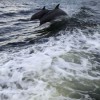 OB Watersports