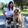 Mary's Pet Squad