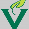 Vanguard Healthcare Services