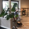 EnVision Optometry