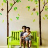 Heraud Pediatrics