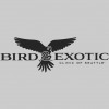 Bird & Exotic Clinic of Seattle