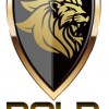 BOLD Management Security Services