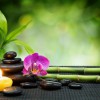Heart Centered Reiki