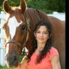 Groveport Canal Animal Hospital
