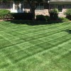 AVH Landscaping