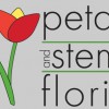Petals and Stems Florist