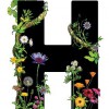 Happy Herb Co