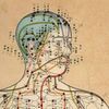 Sourcepoint Acupuncture