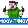 Moovit4now Moving Company