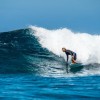 Maui True North