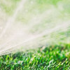 Safe Clean & Green