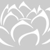 Young In Acupuncture