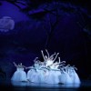 Ballet Tucson