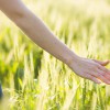 Resilient Acupuncture