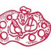 Davis Bakery