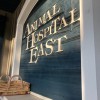 Animal Hospital East