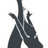 Nerai