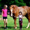 Twin Oaks Riding Academy