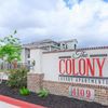 The Colony