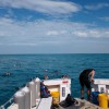 Captain Slate's SCUBA Adventures