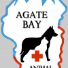 Agate Bay Animal Hospital