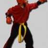 Eight Star Martial Arts Red Dragon Karate School