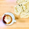 World Traveler Coffee Roasters