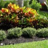 Austin Eagle Landscaping