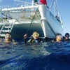 Rainbow Scuba Hawaii
