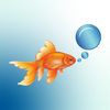 Goldfish Media