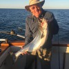 C&D Charters