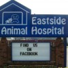Eastside Animal Hospital
