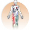 Glover Physical Therapy & Pain Rehabilitation