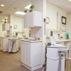 Ted Johnson, DDS