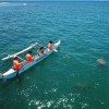 We Paddle Maui