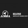 American Academies of Martial Arts