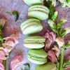 Praline Bakery