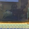 Quick Computer Repair