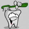 Comprehensive Dental Services