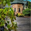 Trout Springs Winery